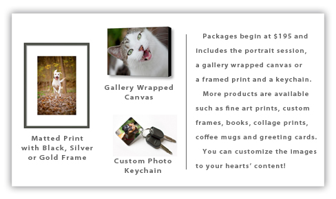 Pet Photography product sample